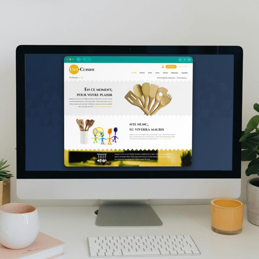 Écran d'ordinateur présantant un navigateur avec la page d'accueil du site ouvert